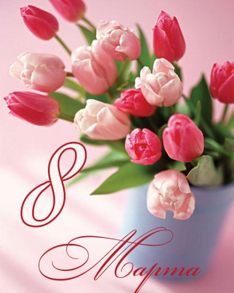 Nadjie Alieva - 8  2017  10:10