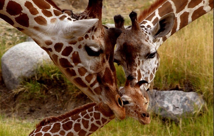    ...     ...      ... - 5