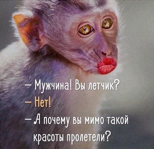  - 28  2016  14:36
