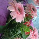  Irina, , 54  -  15  2017   *My flowers*