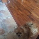 ���� �����, ������������, 45 ��� - ��������� 12 �������� 2016 � ������ ���� ����������