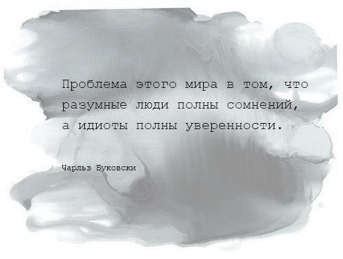     - 8  2017  15:37