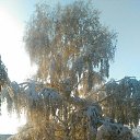 ���� ����, ����, 51 ��� - ��������� 7 ������� 2016 � ������ ������ ��������