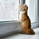 ���� Marusa, ������, 54 ���� - ��������� 20 ����� 2017 � ������ ���� ����������