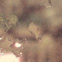  Forest,  -  13  2016    