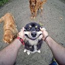  Sam, , 47  -  7  2017    