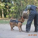 ���� Miss, ������, 49 ��� - ��������� 13 ������� 2017 � ������ ���� Bodyguard,��� ������ �������� �������������