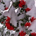 ���� ������, ����� - ��������� 16 ������ 2016 � ������ ���� ����������