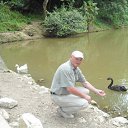 ���� ��������, �������-���������, 66 ��� - ��������� 10 ������� 2016 � ������ ���� ����������