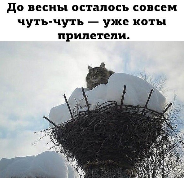       - 24  2017  23:42