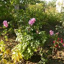  , , 73  -  25  2016     2016