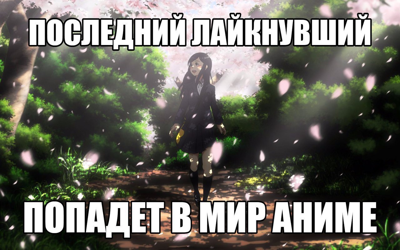  | Anime - 15  2017  13:13
