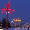 ���� ������, ���������� �����, 74 ���� - ��������� 24 ������� 2016 � ������ ���� ����������