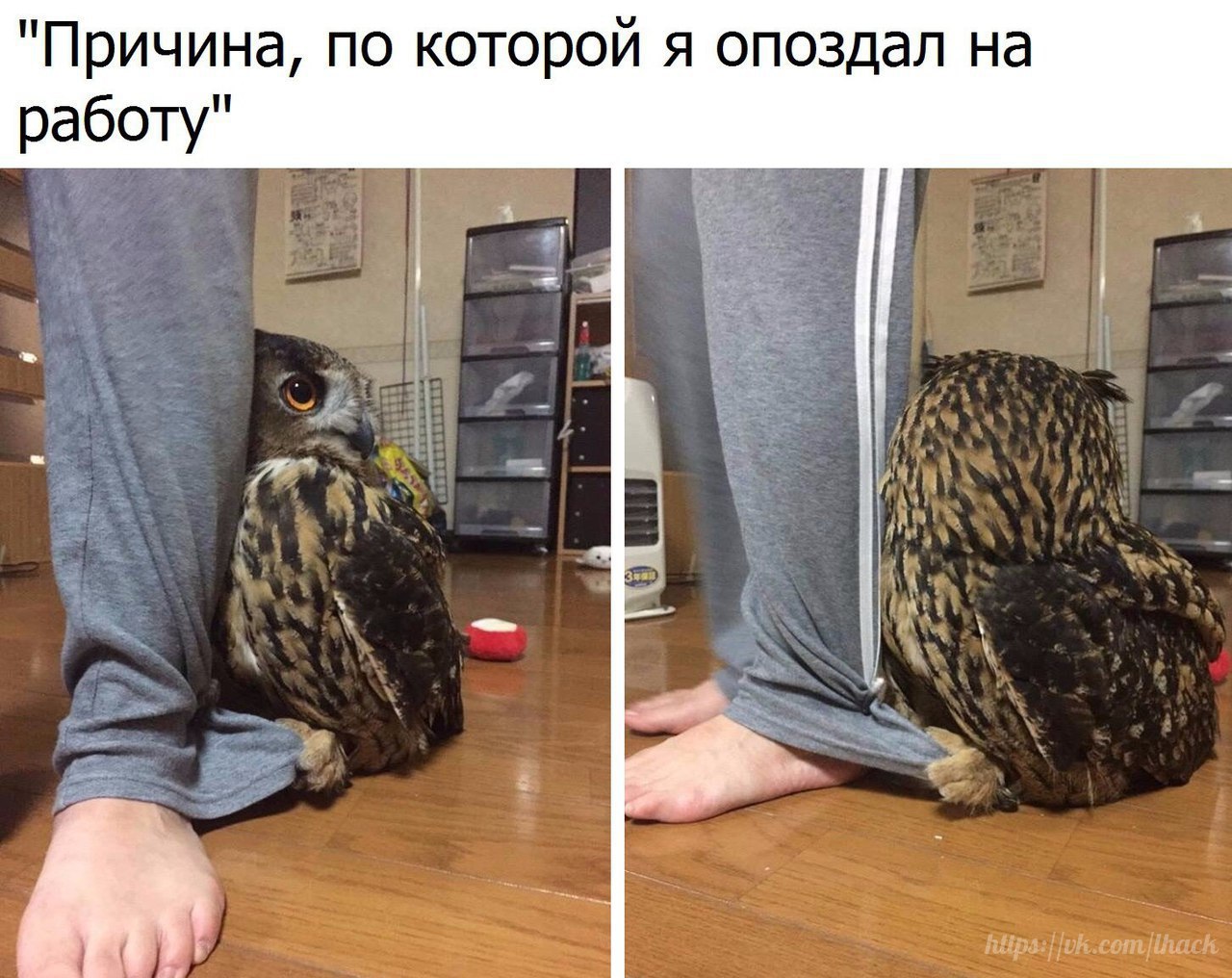  - 9  2017  14:31