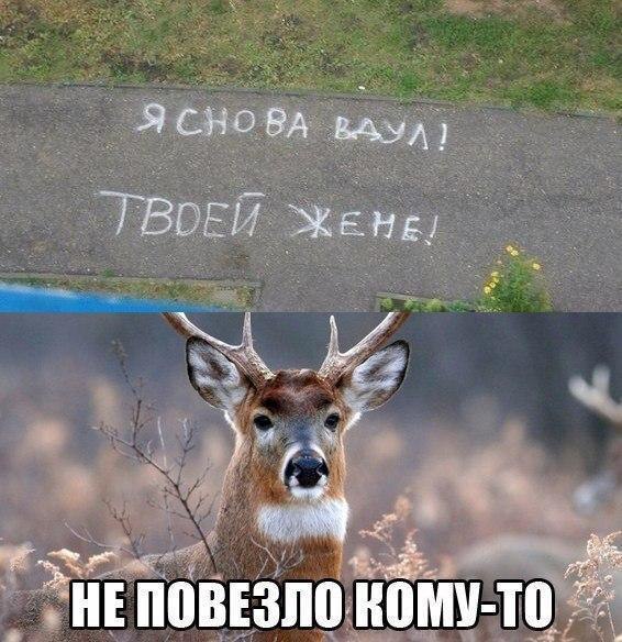    - 3  2016  09:49