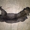 ���� �����, ������, 52 ���� - ��������� 30 ������� 2016 � ������ ���� ����������