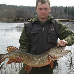 ����, ����-���, 40 ���