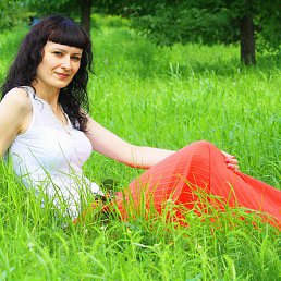 ����, �����������, 50 ���