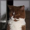 ���� ���������, ������ - ��������� 28 ������ 2016 � ������ �������� ��������