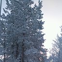 ���� �����, ��������, 46 ��� - ��������� 8 ������ 2016 � ������ ���� ����������