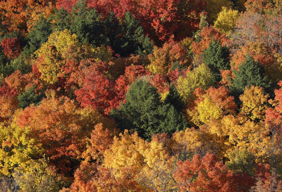     Thacher State Park, -