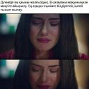 ���� �����, �����, 41 ��� - ��������� 1 ������ 2017 � ������ ������ ��������