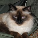 ���� ������, ��������� - ��������� 9 ������� 2016 � ������ ������ ��������