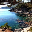  nt, , 64  -  15  2016   .