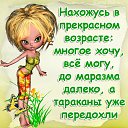 ���� ���������, �����-��������� - ��������� 9 ������ 2017 � ������ ������ ��������