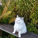  Alexandr,  -  30  2016    