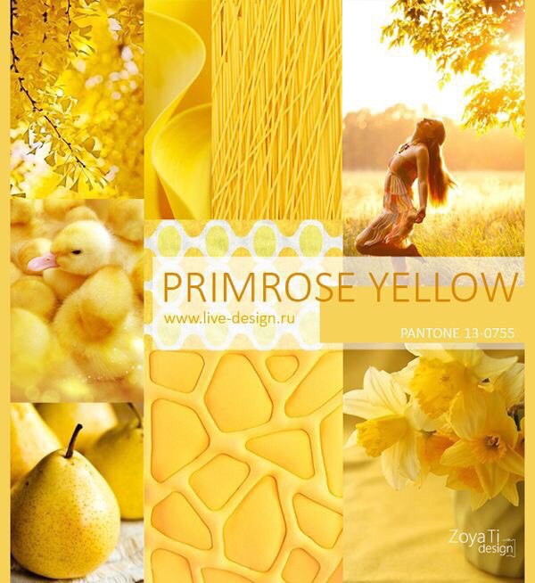     2017 .  Pantone -    , ...