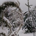 ���� ������, ������, 54 ���� - ��������� 14 ������ 2016 � ������ �������� ������