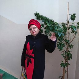 , 64, 