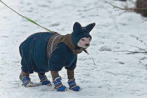    ,   ...))) - 3
