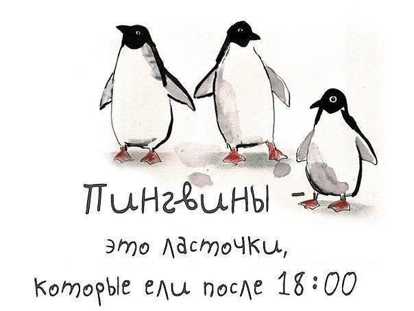   - 1  2016  05:53