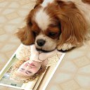 ���� �����, ������, 57 ��� - ��������� 1 ������ 2016 � ������ ���� ����������