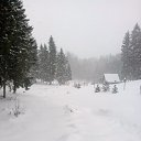 ���� Svetlana, ��������, 57 ��� - ��������� 24 ������� 2017 � ������ ���� ����������