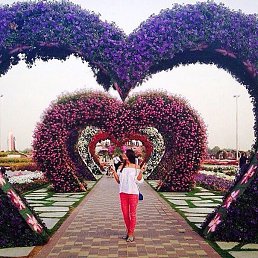 ���� �����, ���������, 55 ��� - ��������� 10 ������� 2017