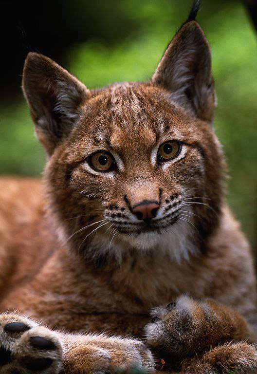   - 15  2016  00:51 - 5