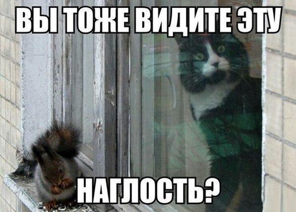    - 5  2016  01:10