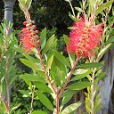  , -, 64  -  29  2016   ,  2016 