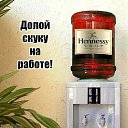���� Olqa, ����, 52 ���� - ��������� 5 ������� 2017 � ������ ������ ��������