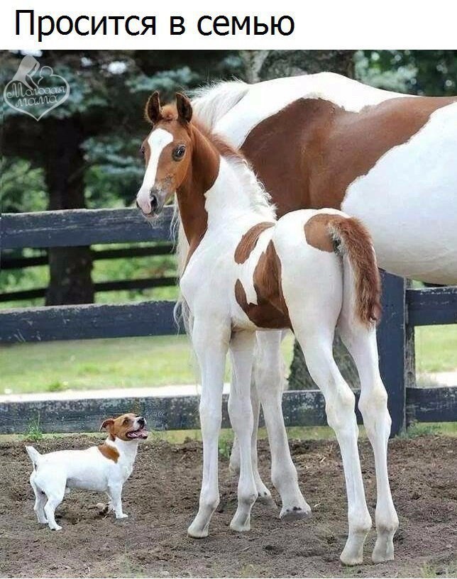   -   - 13  2016  20:16