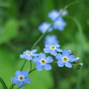 ���� ����, �����-��������� - ��������� 13 ������ 2016 � ������ ������ ��������