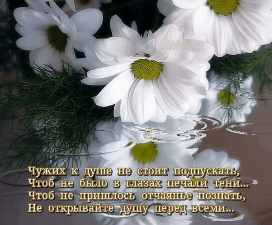 Валюша - 30 ноября 2016 в 20:09