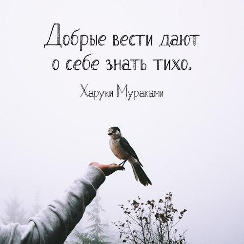 LIFE -  - 28  2017  23:32