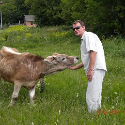 ������, ������