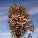 ���� ����, ���������, 67 ��� - ��������� 3 ������ 2016 � ������ ���� ����������