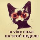 ���� Pavel, �������, 37 ��� - ��������� 9 ������ 2016 � ������ ������ ��������