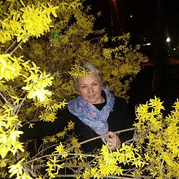 �������, ���������, 50 ���